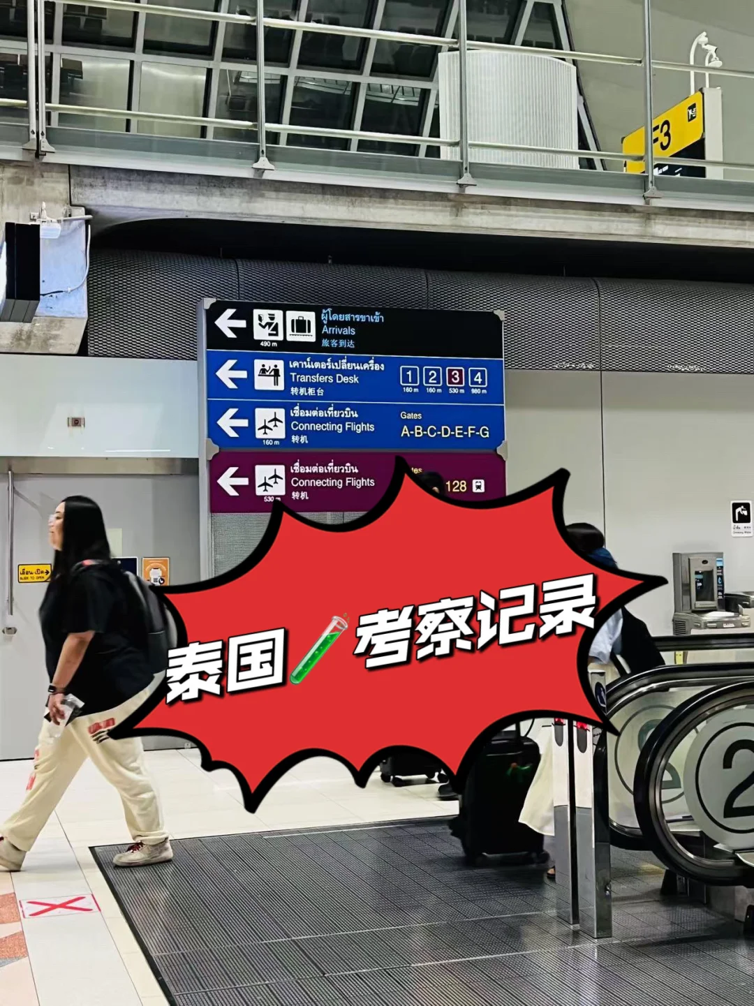 泰国试管有必要提前去考察吗？,代孕费用明细一览表-私人借卵代怀公司