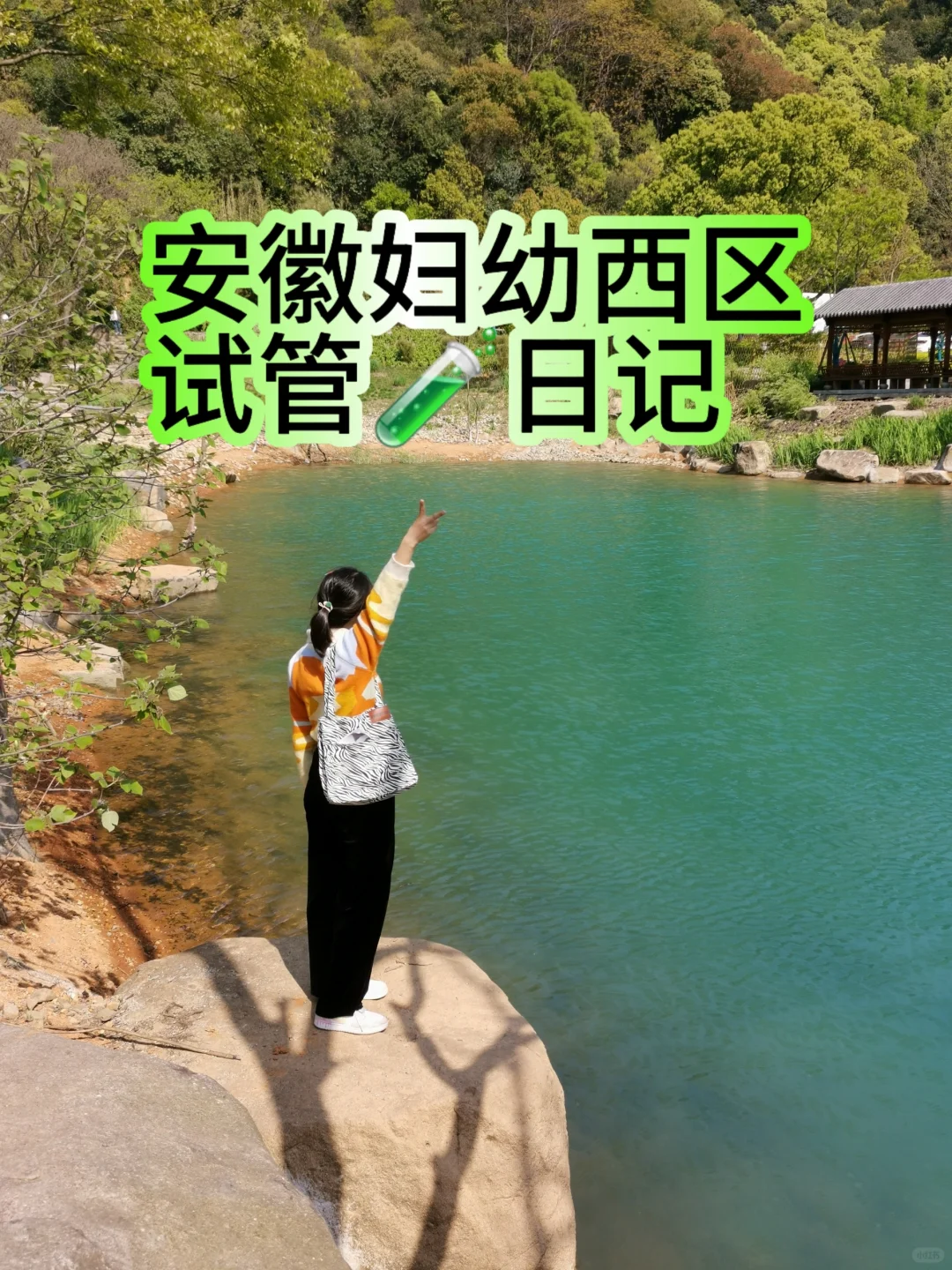试管日记—前期检查费用篇,试管代孕免费咨询_代孕生殖中心包成功套餐