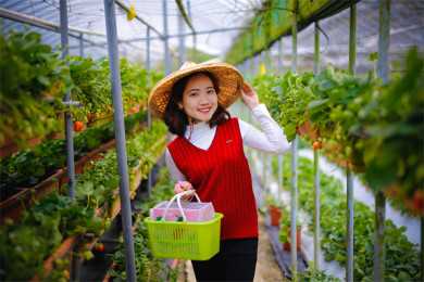 头条开发智能手机真的吗 今日头条字节跳动跟锤子科技什么关系